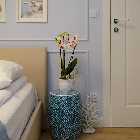 Maya's Flats & 11 - Apartment